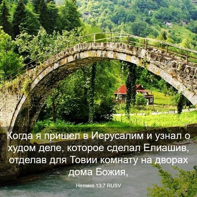Picture 03 - Неемия 13:7 RUSV - Когда я пришел в Иерусалим - Bible Verse Picture