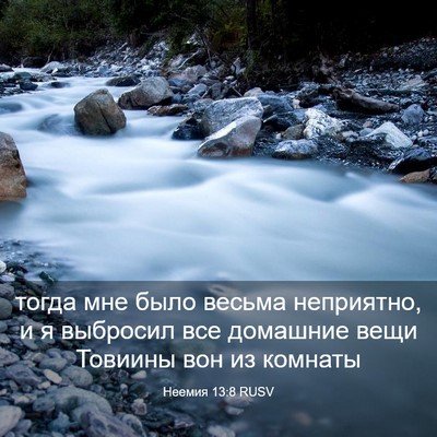 Picture 03 - Неемия 13:8 RUSV - тогда мне было весьма - Bible Verse Picture