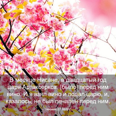 Picture 03 - Неемия 2:1 RUSV - В месяце Нисане, в - Bible Verse Picture