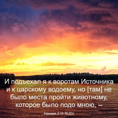 Picture 03 - Неемия 2:14 RUSV - И подъехал я к воротам - Bible Verse Picture