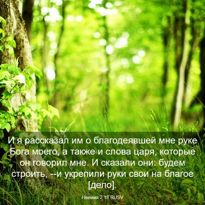 Picture 03 - Неемия 2:18 RUSV - И я рассказал им о - Bible Verse Picture