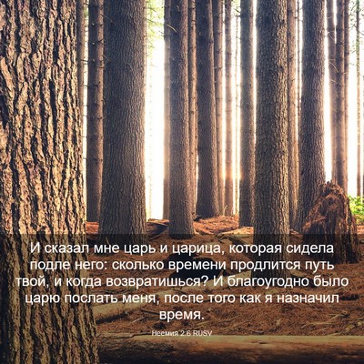 Picture 03 - Неемия 2:6 RUSV - И сказал мне царь и царица, - Bible Verse Picture