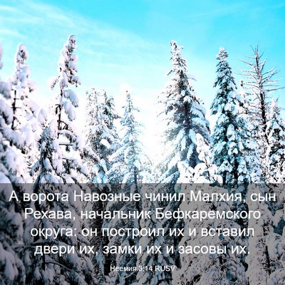 Picture 03 - Неемия 3:14 RUSV - А ворота Навозные чинил - Bible Verse Picture