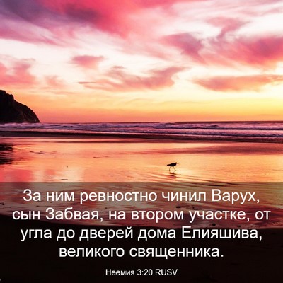 Picture 03 - Неемия 3:20 RUSV - За ним ревностно чинил - Bible Verse Picture