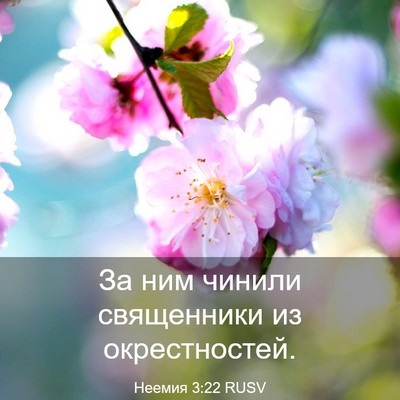 Picture 03 - Неемия 3:22 RUSV - За ним чинили священники - Bible Verse Picture