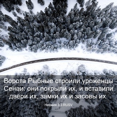 Picture 03 - Неемия 3:3 RUSV - Ворота Рыбные строили - Bible Verse Picture