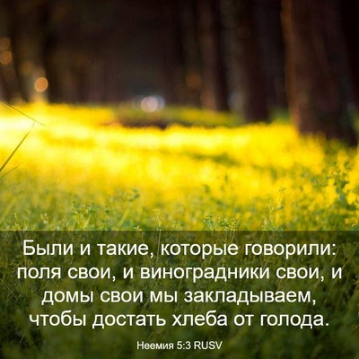 Picture 03 - Неемия 5:3 RUSV - Были и такие, которые - Bible Verse Picture
