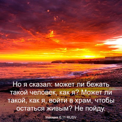 Picture 03 - Неемия 6:11 RUSV - Но я сказал: может ли - Bible Verse Picture