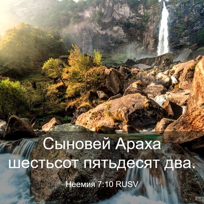 Picture 03 - Неемия 7:10 RUSV - Сыновей Араха шестьсот - Bible Verse Picture