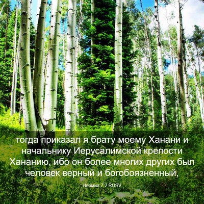 Picture 03 - Неемия 7:2 RUSV - тогда приказал я брату - Bible Verse Picture