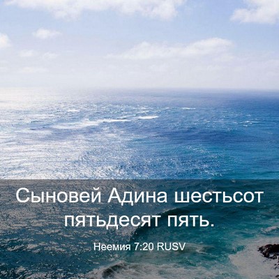 Picture 03 - Неемия 7:20 RUSV - Сыновей Адина шестьсот - Bible Verse Picture