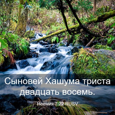 Picture 03 - Неемия 7:22 RUSV - Сыновей Хашума триста - Bible Verse Picture