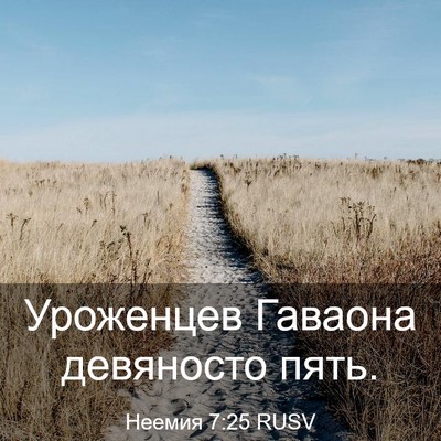 Picture 03 - Неемия 7:25 RUSV - Уроженцев Гаваона - Bible Verse Picture