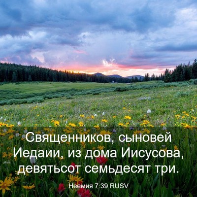 Picture 03 - Неемия 7:39 RUSV - Священников, сыновей - Bible Verse Picture