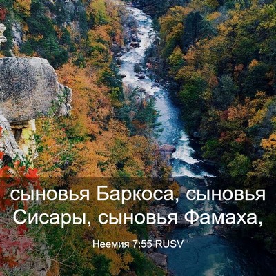 Picture 03 - Неемия 7:55 RUSV - сыновья Баркоса, сыновья - Bible Verse Picture