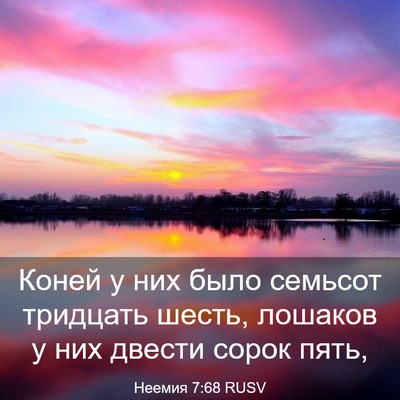 Picture 03 - Неемия 7:68 RUSV - Коней у них было семьсот - Bible Verse Picture