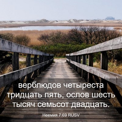 Picture 03 - Неемия 7:69 RUSV - верблюдов четыреста - Bible Verse Picture