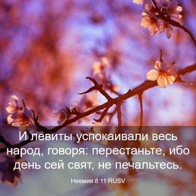 Picture 03 - Неемия 8:11 RUSV - И левиты успокаивали весь - Bible Verse Picture