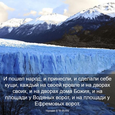 Picture 03 - Неемия 8:16 RUSV - И пошел народ, и принесли, и - Bible Verse Picture