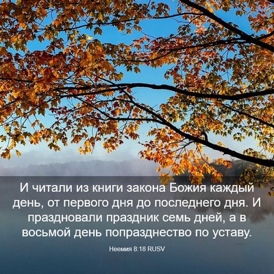 Picture 03 - Неемия 8:18 RUSV - И читали из книги закона - Bible Verse Picture