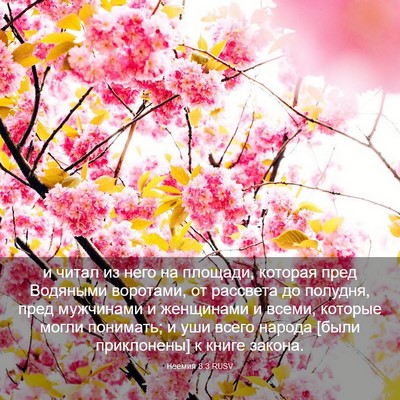 Picture 03 - Неемия 8:3 RUSV - и читал из него на площади, - Bible Verse Picture