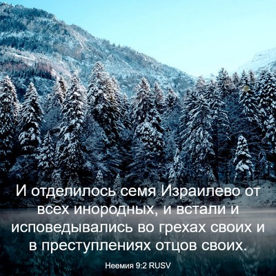 Picture 03 - Неемия 9:2 RUSV - И отделилось семя - Bible Verse Picture