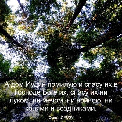 Picture 03 - Осия 1:7 RUSV - А дом Иудин помилую и спасу - Bible Verse Picture