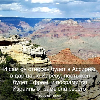 Picture 03 - Осия 10:6 RUSV - И сам он отнесен будет в - Bible Verse Picture