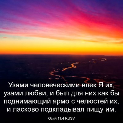 Picture 03 - Осия 11:4 RUSV - Узами человеческими влек Я - Bible Verse Picture