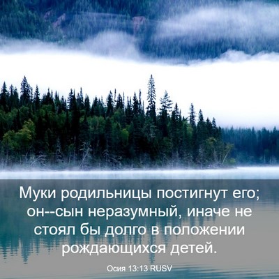 Picture 03 - Осия 13:13 RUSV - Муки родильницы постигнут - Bible Verse Picture