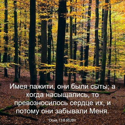 Picture 03 - Осия 13:6 RUSV - Имея пажити, они были сыты; - Bible Verse Picture