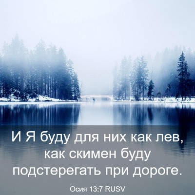 Picture 03 - Осия 13:7 RUSV - И Я буду для них как лев, - Bible Verse Picture