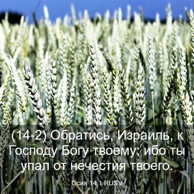 Picture 03 - Осия 14:1 RUSV - (14-2) Обратись, Израиль, к - Bible Verse Picture