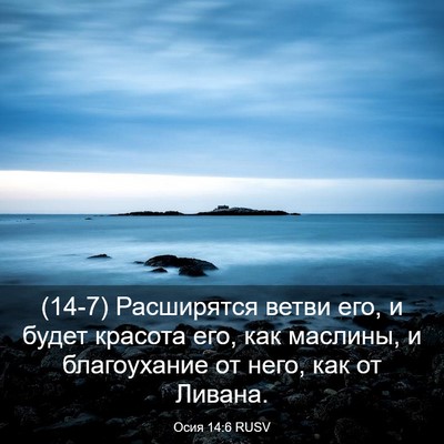 Picture 03 - Осия 14:6 RUSV - (14-7) Расширятся ветви его, и - Bible Verse Picture