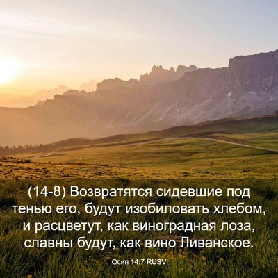 Picture 03 - Осия 14:7 RUSV - (14-8) Возвратятся сидевшие - Bible Verse Picture