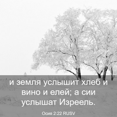 Picture 03 - Осия 2:22 RUSV - и земля услышит хлеб и вино - Bible Verse Picture