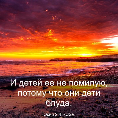 Picture 03 - Осия 2:4 RUSV - И детей ее не помилую, - Bible Verse Picture
