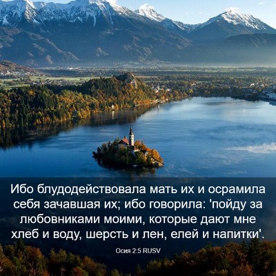 Picture 03 - Осия 2:5 RUSV - Ибо блудодействовала мать - Bible Verse Picture