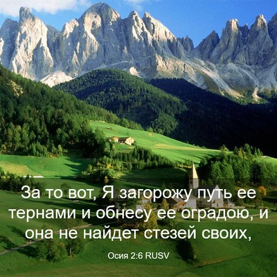 Picture 03 - Осия 2:6 RUSV - За то вот, Я загорожу путь - Bible Verse Picture