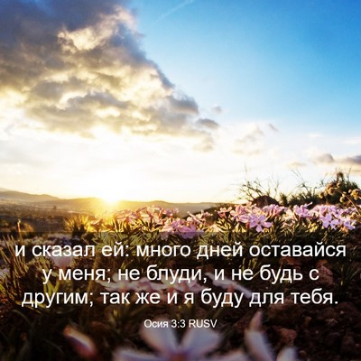 Picture 03 - Осия 3:3 RUSV - и сказал ей: много дней - Bible Verse Picture