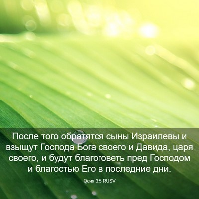 Picture 03 - Осия 3:5 RUSV - После того обратятся сыны - Bible Verse Picture