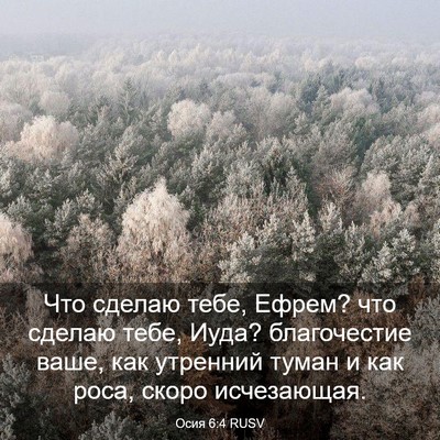 Picture 03 - Осия 6:4 RUSV - Что сделаю тебе, Ефрем? что - Bible Verse Picture