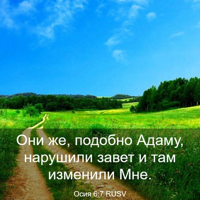 Picture 03 - Осия 6:7 RUSV - Они же, подобно Адаму, - Bible Verse Picture