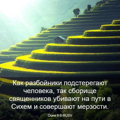 Picture 03 - Осия 6:9 RUSV - Как разбойники - Bible Verse Picture