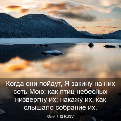Picture 03 - Осия 7:12 RUSV - Когда они пойдут, Я закину - Bible Verse Picture