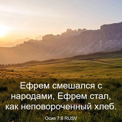 Picture 03 - Осия 7:8 RUSV - Ефрем смешался с народами, - Bible Verse Picture