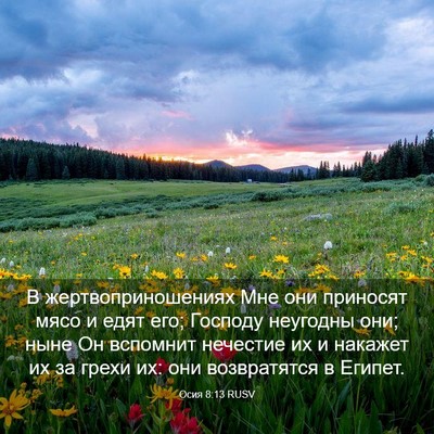 Picture 03 - Осия 8:13 RUSV - В жертвоприношениях Мне - Bible Verse Picture