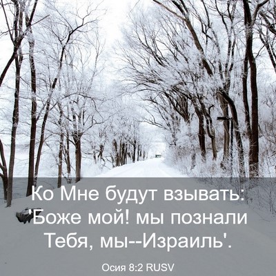 Picture 03 - Осия 8:2 RUSV - Ко Мне будут взывать: 'Боже - Bible Verse Picture