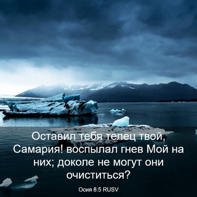 Picture 03 - Осия 8:5 RUSV - Оставил тебя телец твой, - Bible Verse Picture