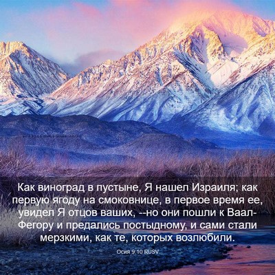 Picture 03 - Осия 9:10 RUSV - Как виноград в пустыне, Я - Bible Verse Picture